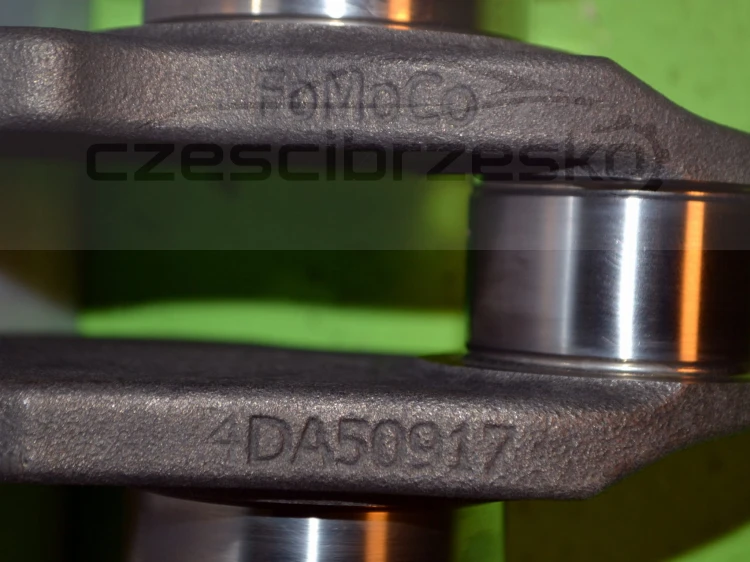 15358cz4.JPG