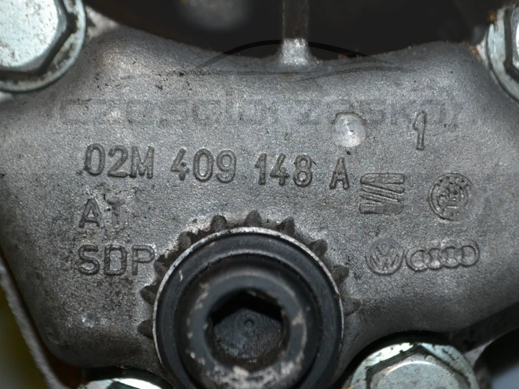 15378cz5.JPG
