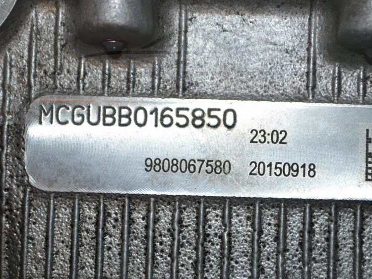15391cz7.JPG