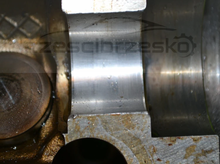 15408cz5.JPG
