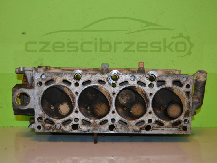15421cz5.JPG