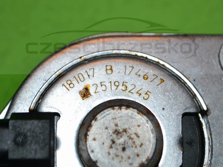 15454cz4.JPG