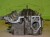15457cz7.JPG