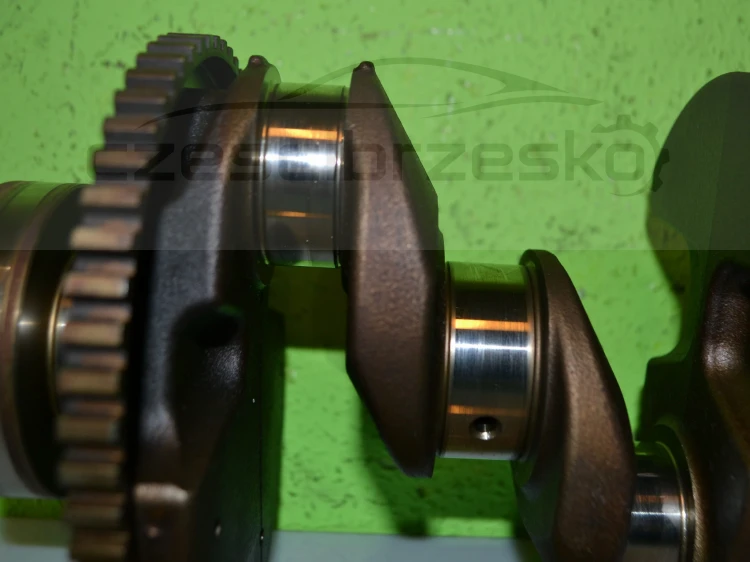 15459cz4.JPG