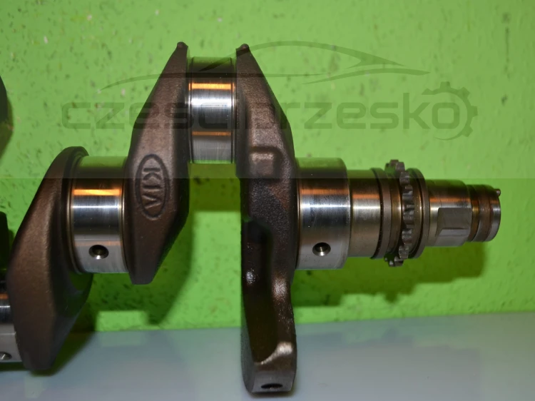 15459cz6.JPG
