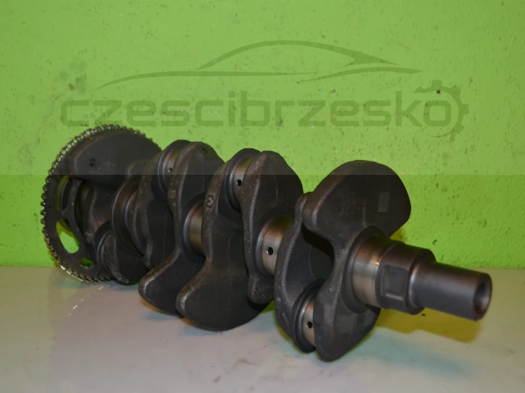 15476cz5.JPG