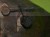 15497cz6.JPG
