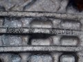 15513cz7.JPG
