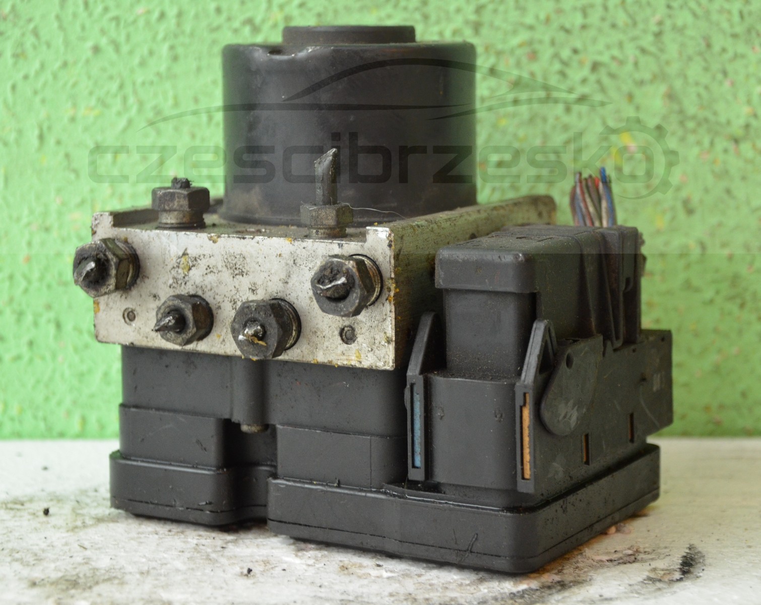 12136cz1.jpg