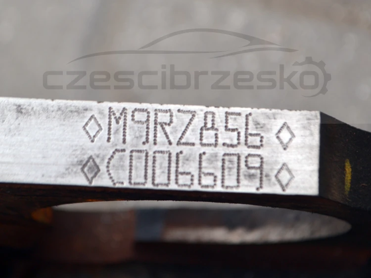 15528cz11.JPG
