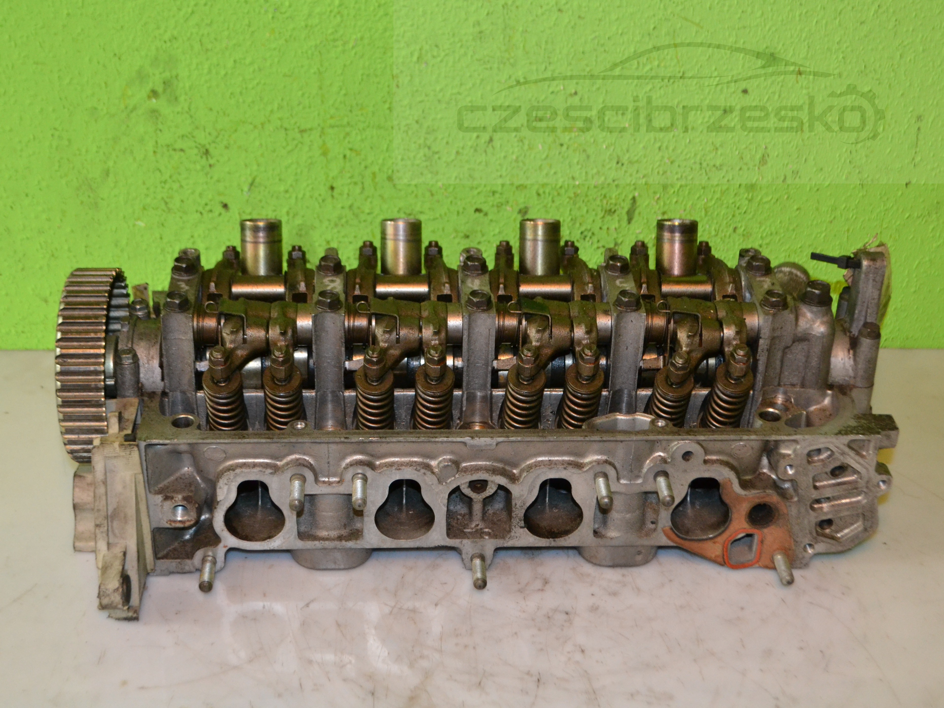 15529cz1.JPG
