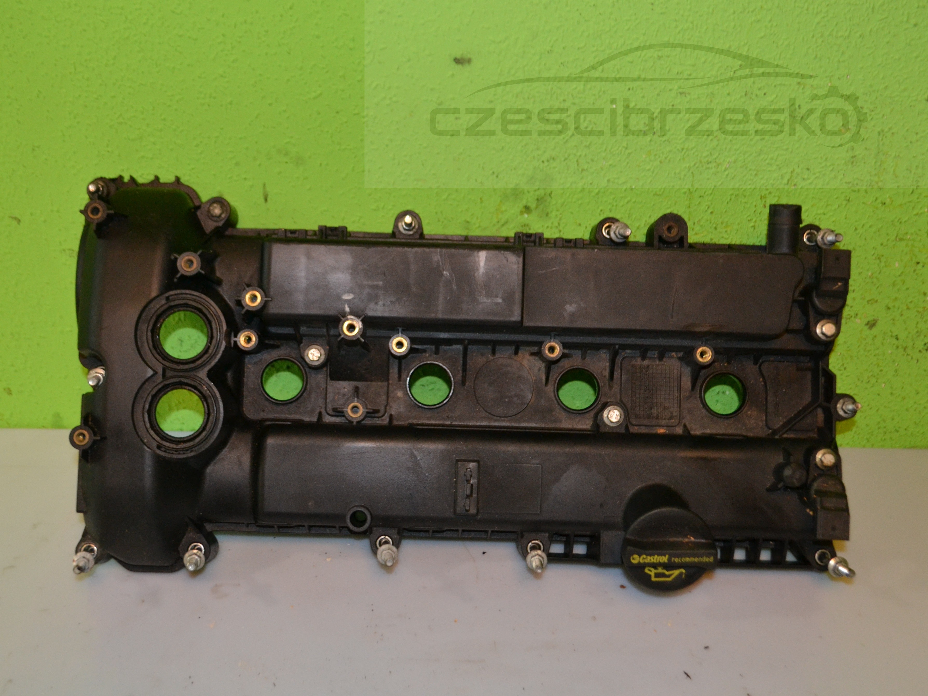 15541cz1.JPG