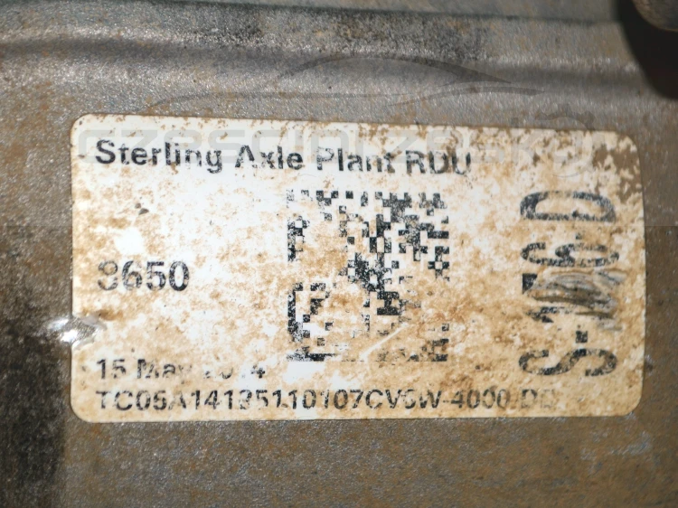 15646cz5.JPG