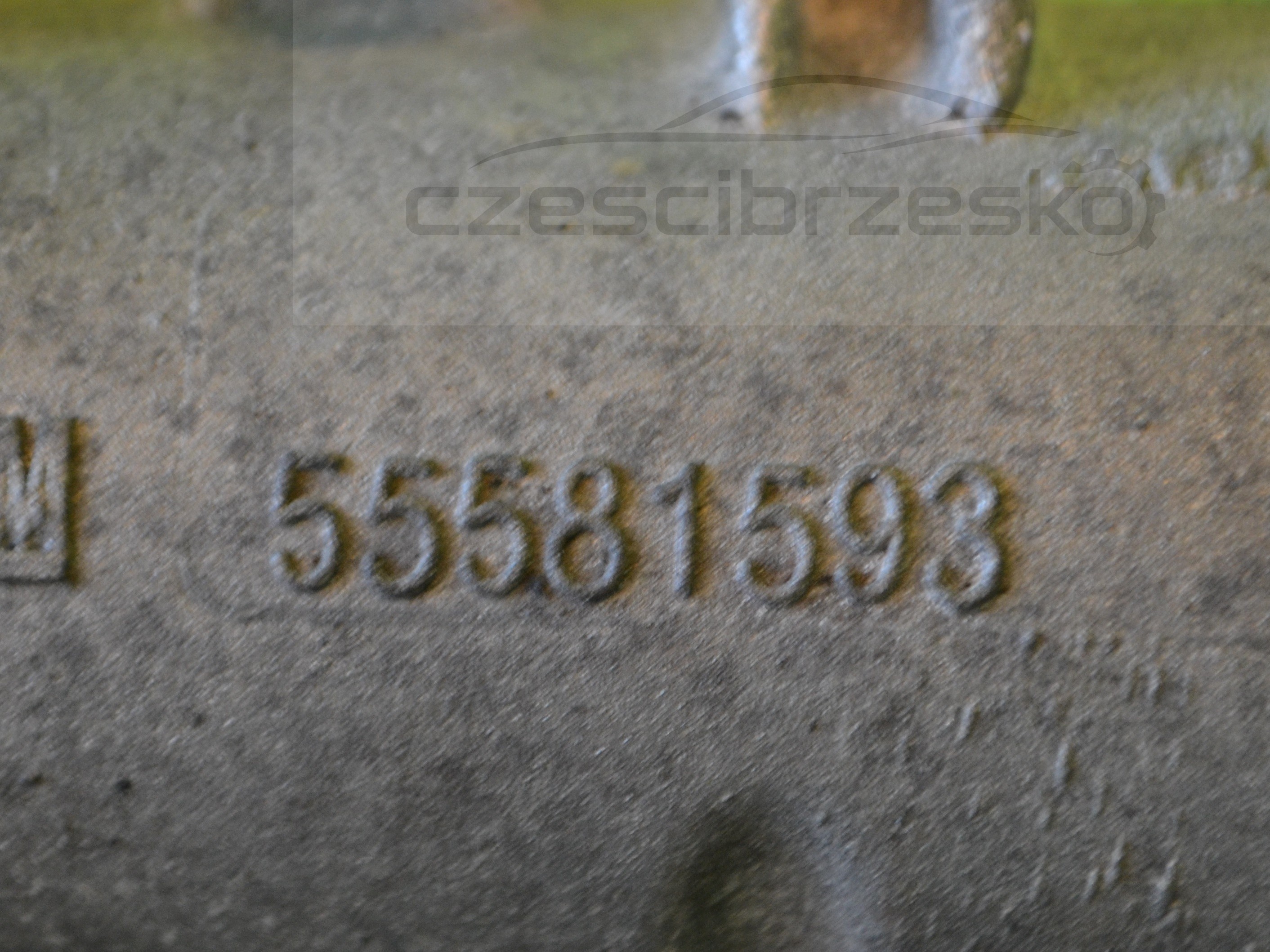 15649cz2.JPG