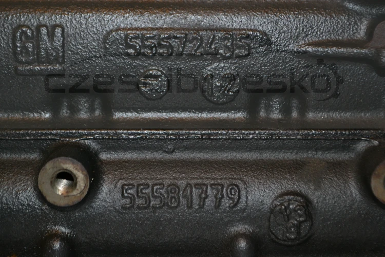 15669cz5.JPG