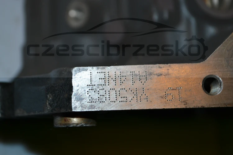 15669cz6.JPG