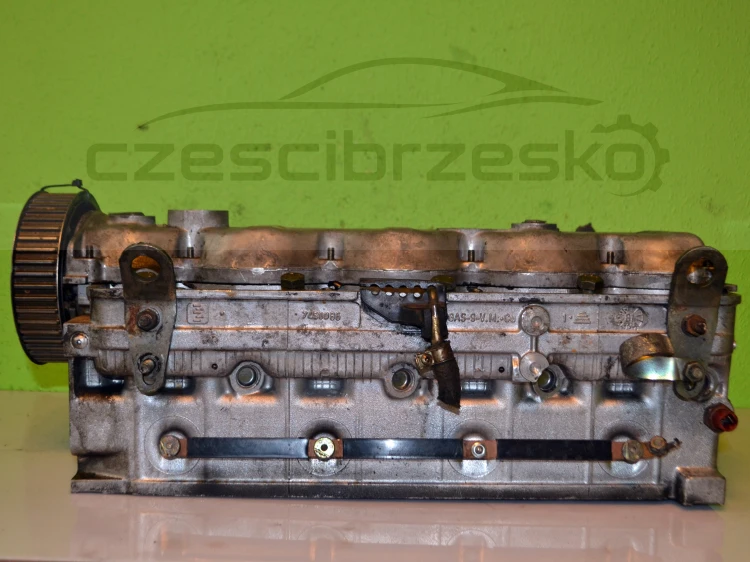15689cz8.JPG