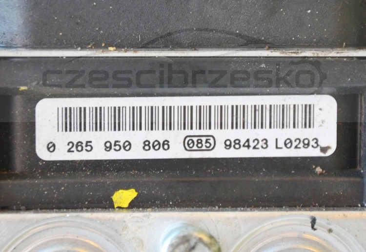 11984cz5.jpg