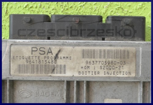 6000886731_1