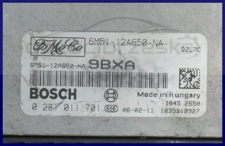 5599407685_1