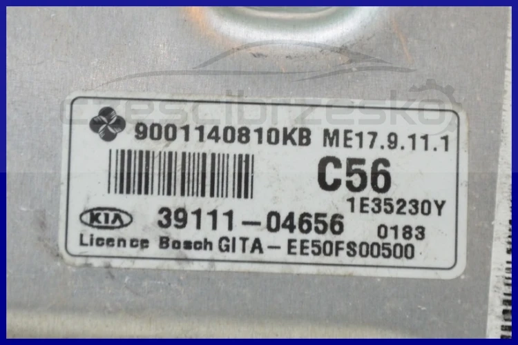 6317021671_2