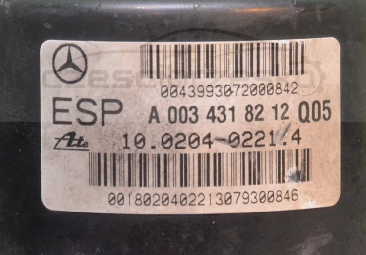 8162cz5.jpg
