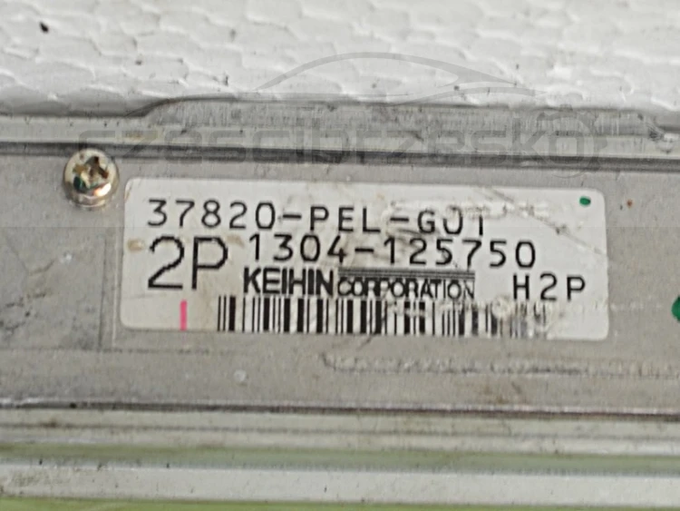 5097269320_1