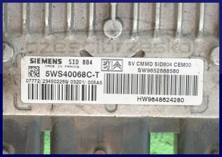 5991555331_1