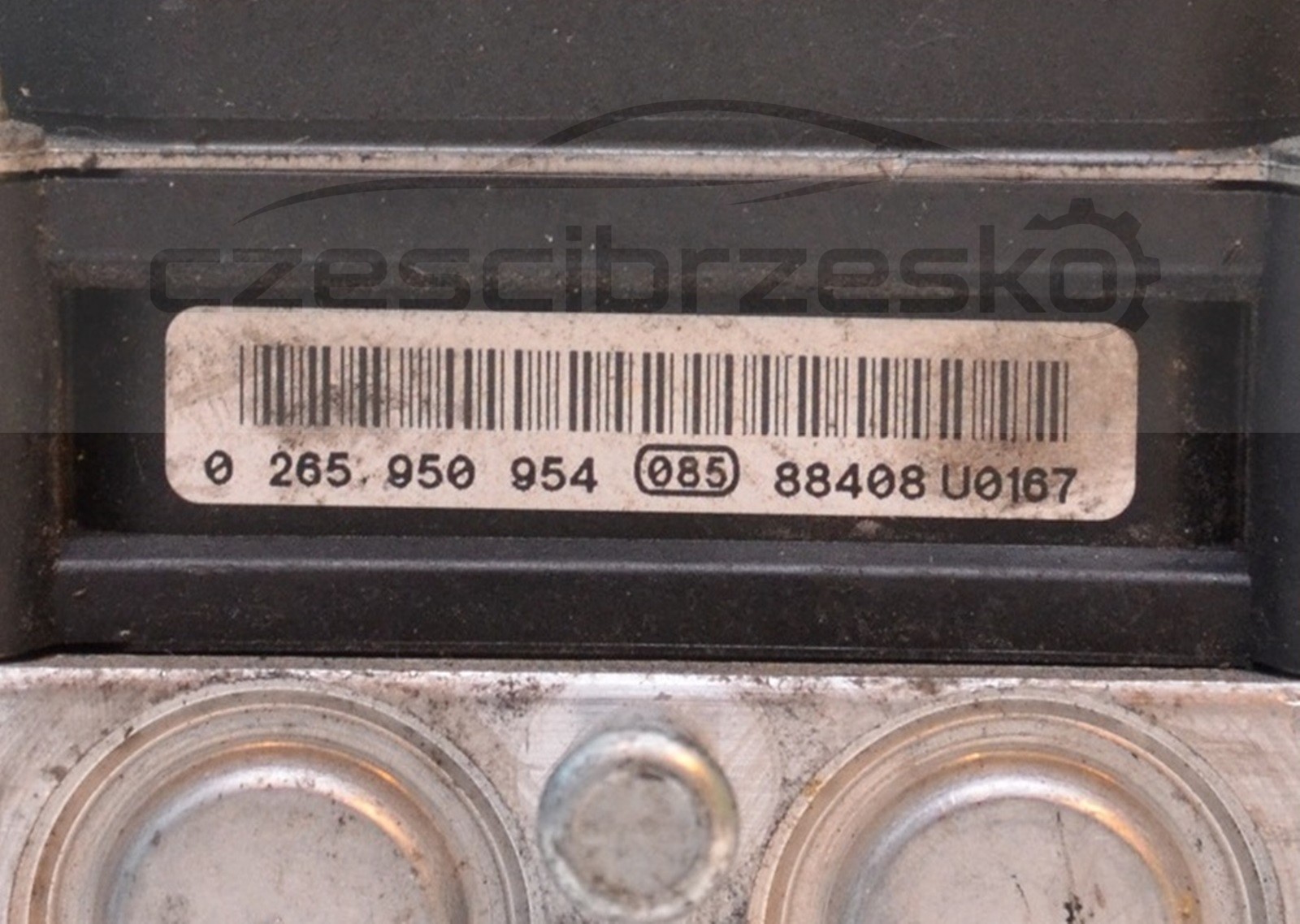 7247671164_1