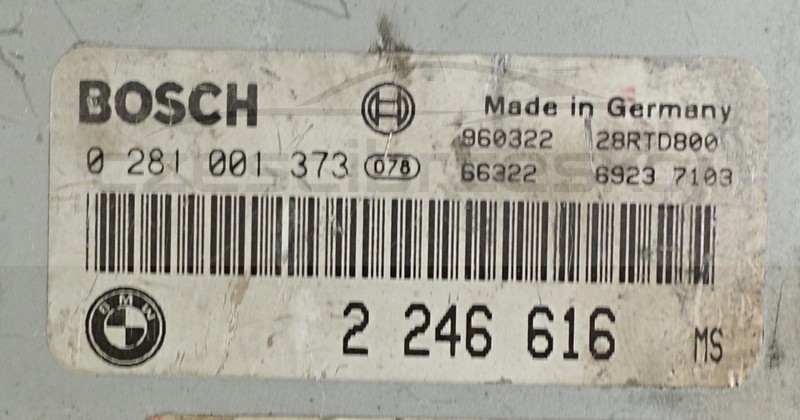 5056175968_1