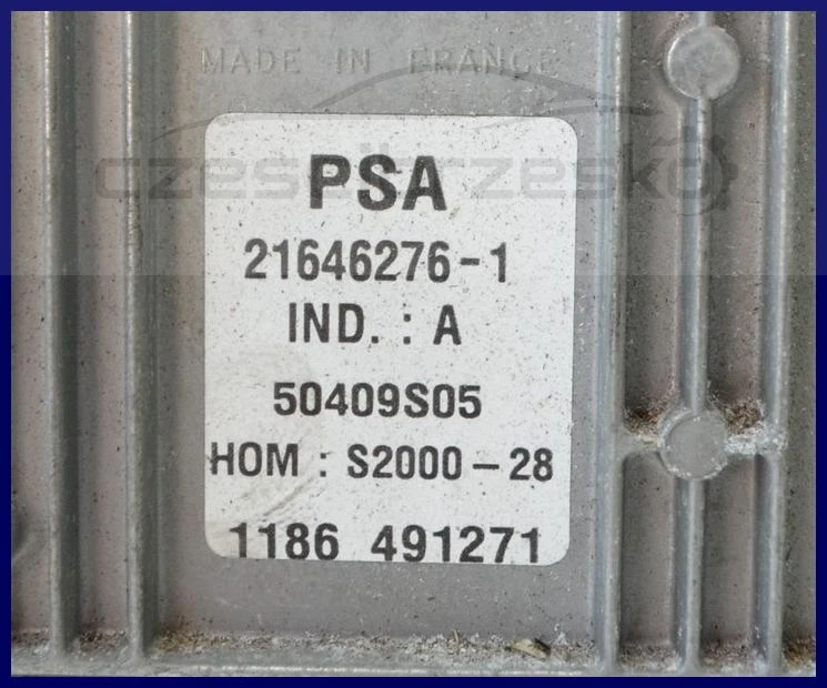 5085830371_2