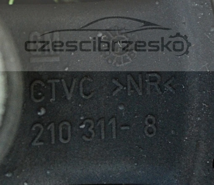 5127036819_2