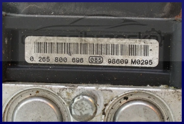5726629621_2