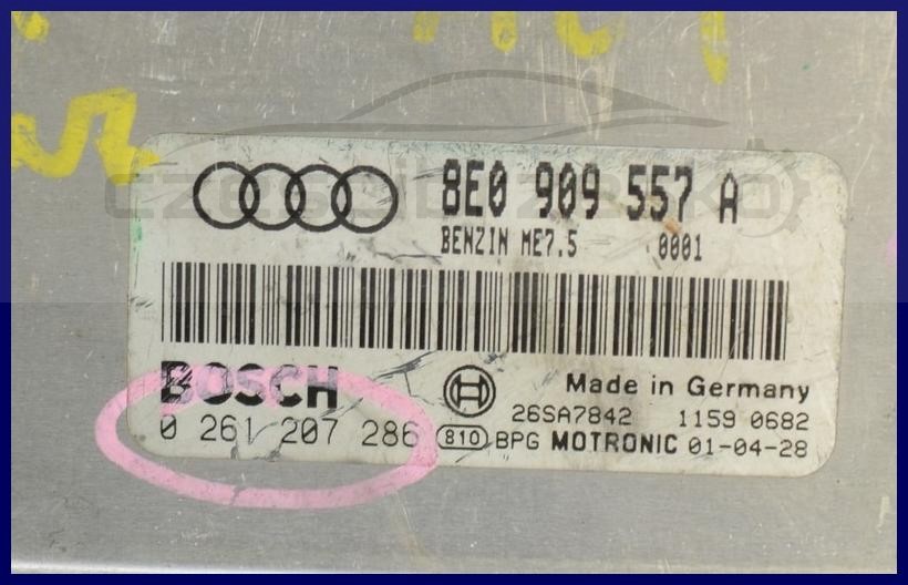 5528738492_1