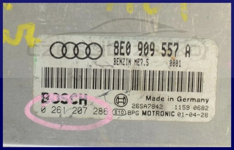 5528738492_1