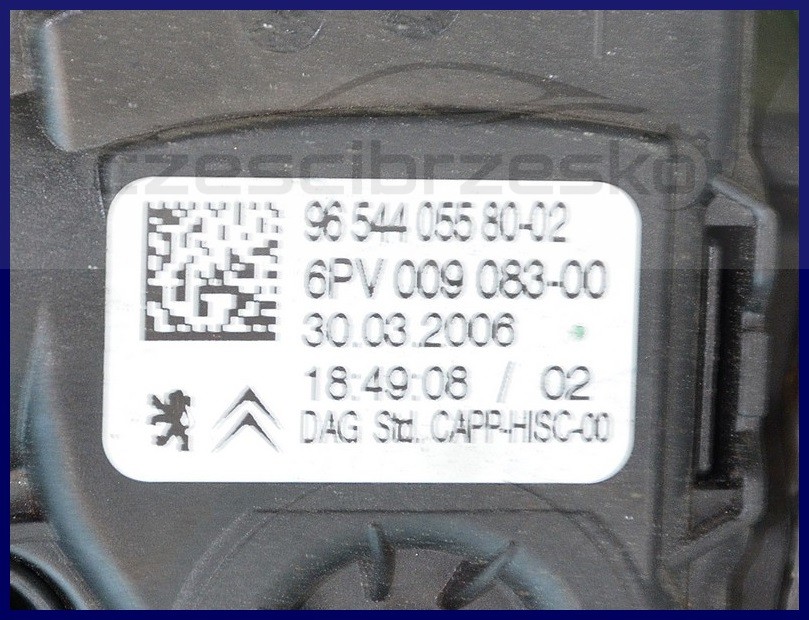 6839046685_1
