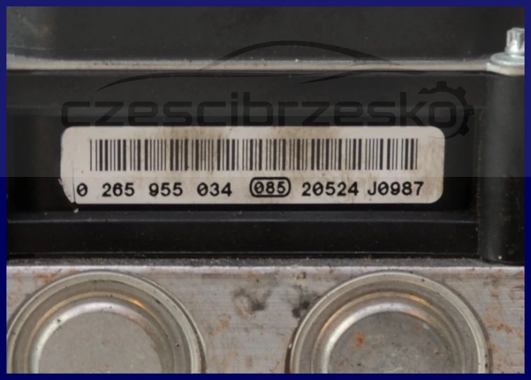 5730865245_2