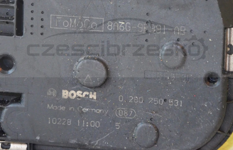 7004931290_2