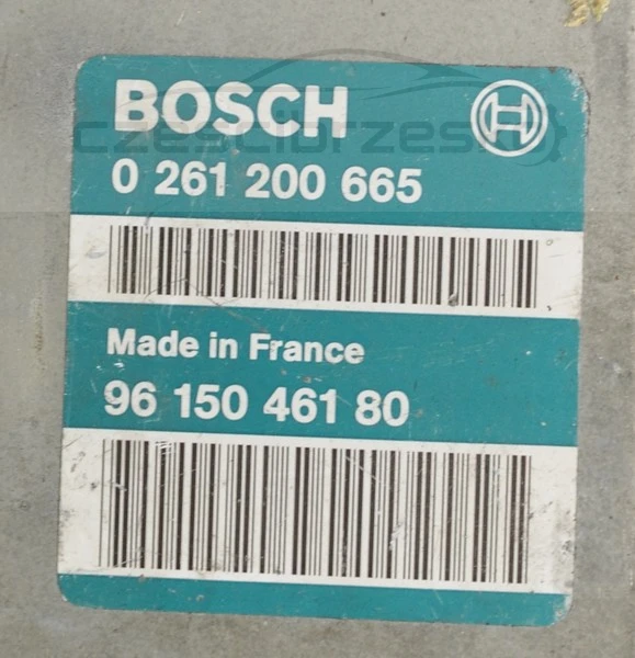 5089131902_1
