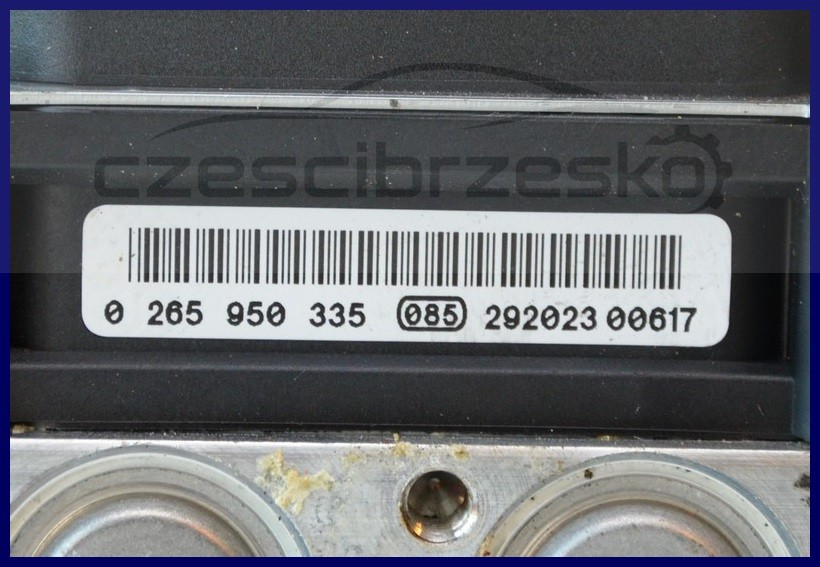 6087893895_1