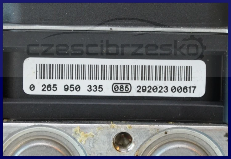 6087893895_1