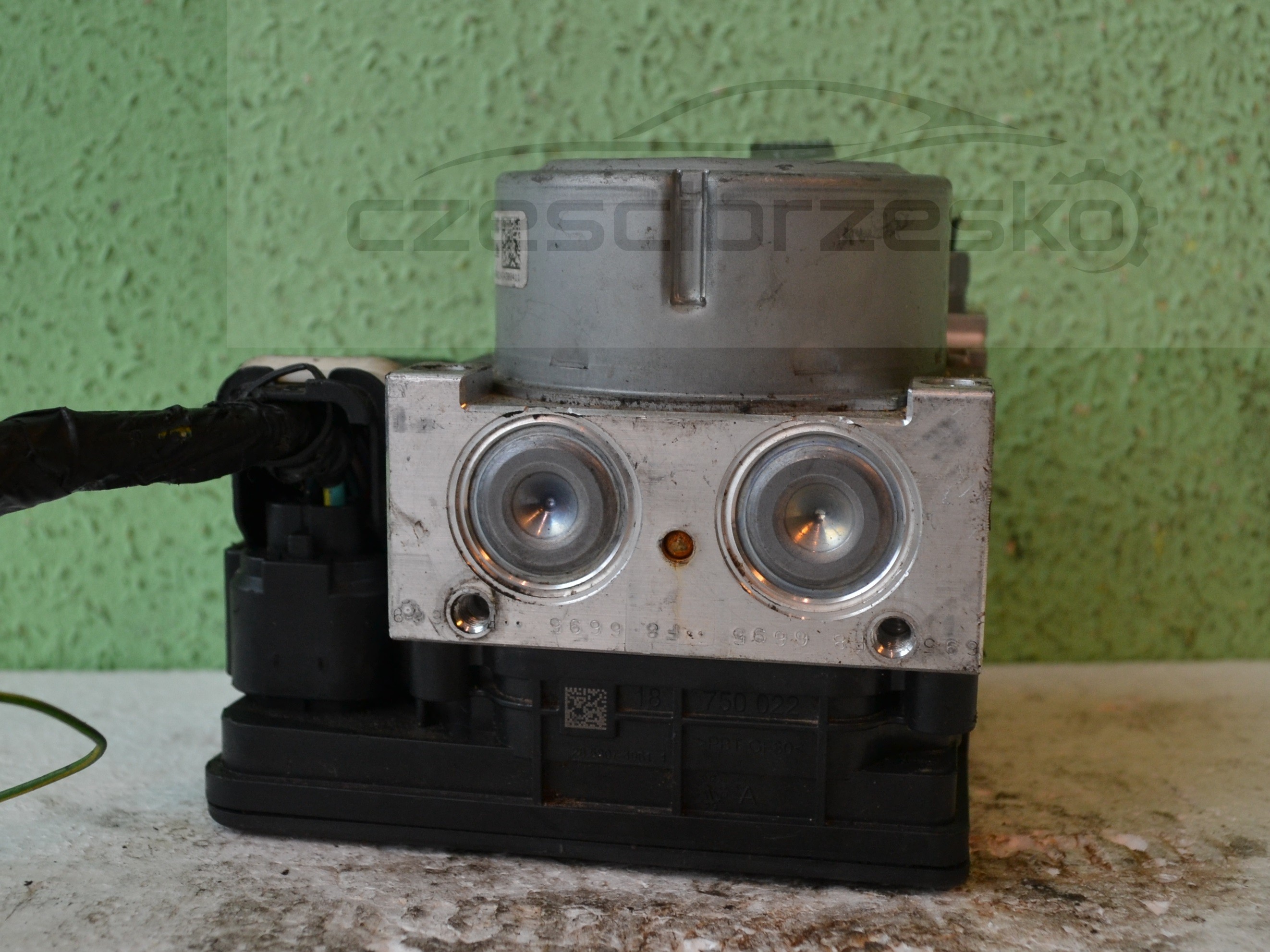 12221cz3.JPG