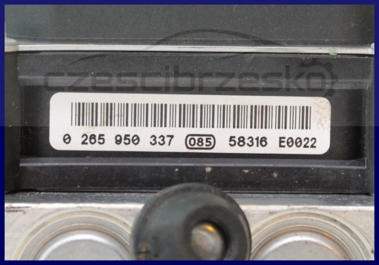 5991681600_1
