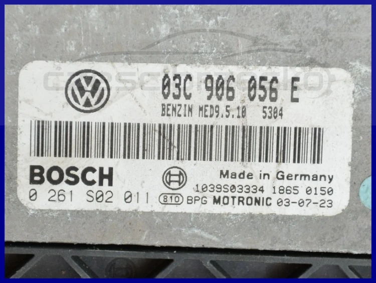 6309866447_2
