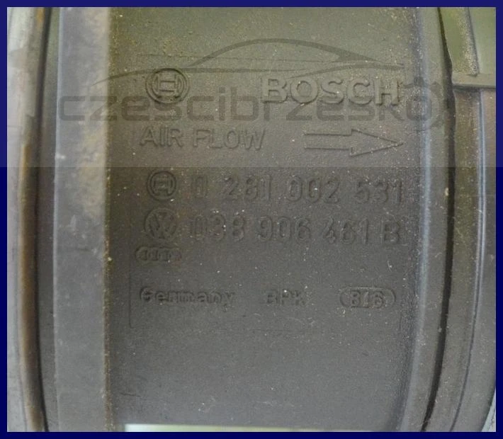 5062730859_1