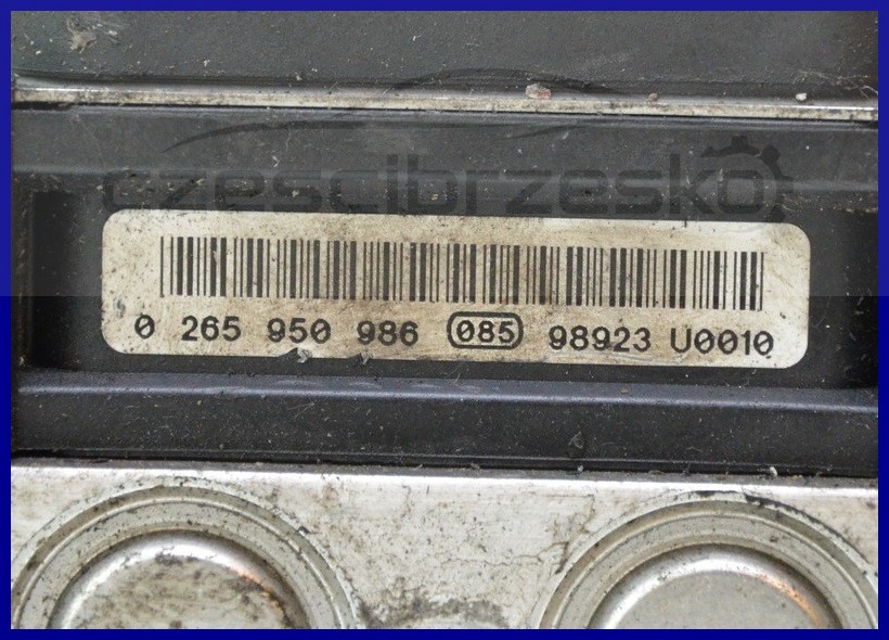 6408234161_1