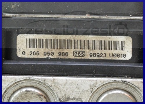 6408234161_1