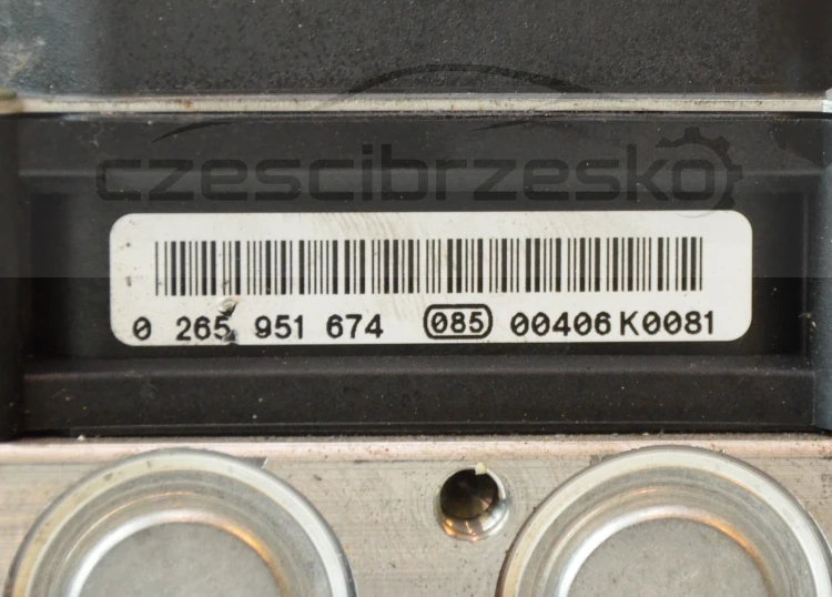 11909cz5.jpg