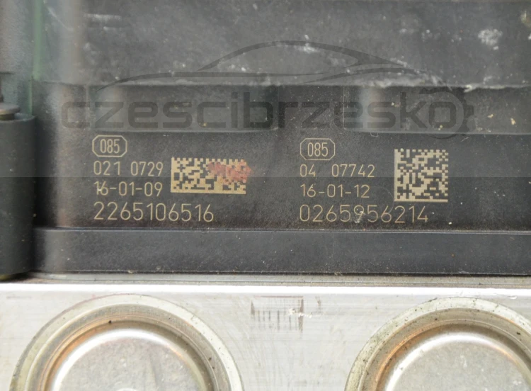 11558cz5.jpg