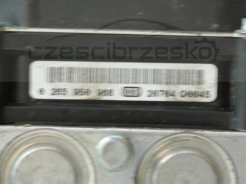 12162cz2.jpg